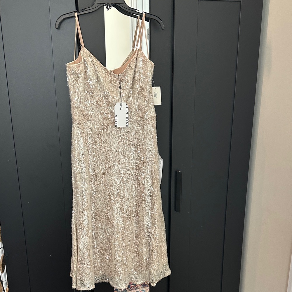 Dress the Population Champagne Sequin Dress
